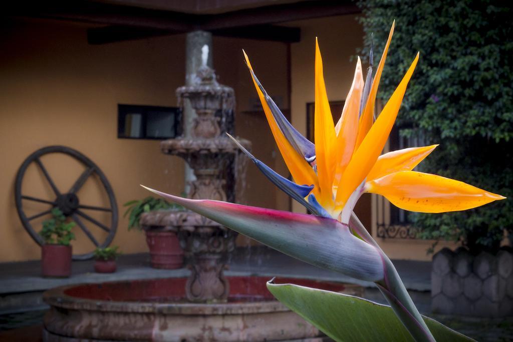 Hotel El Pueblito De Fortin Fortín de las Flores Esterno foto