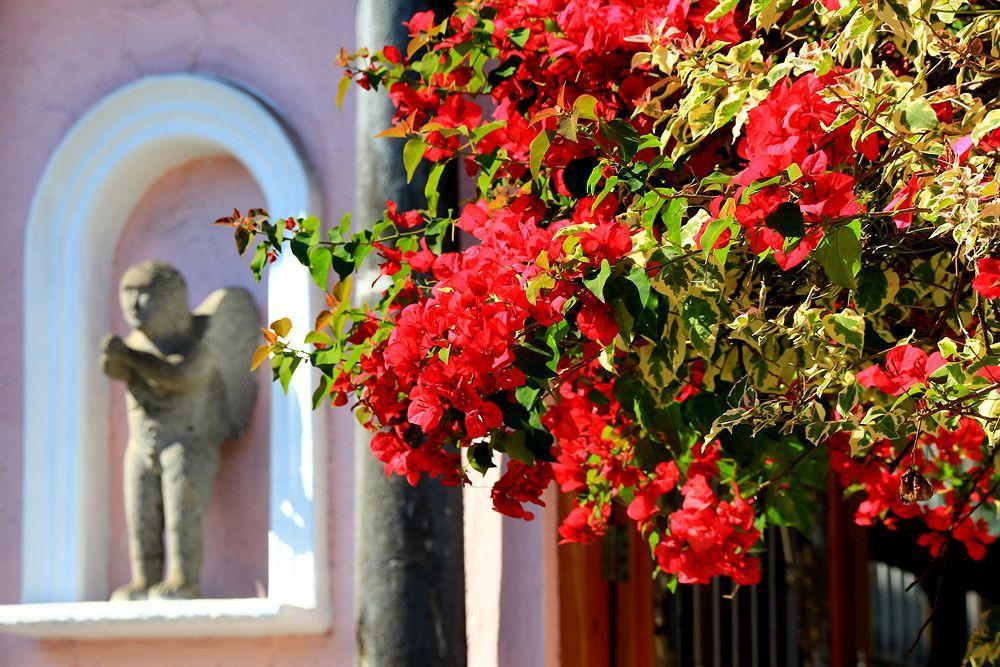 Hotel El Pueblito De Fortin Fortín de las Flores Esterno foto